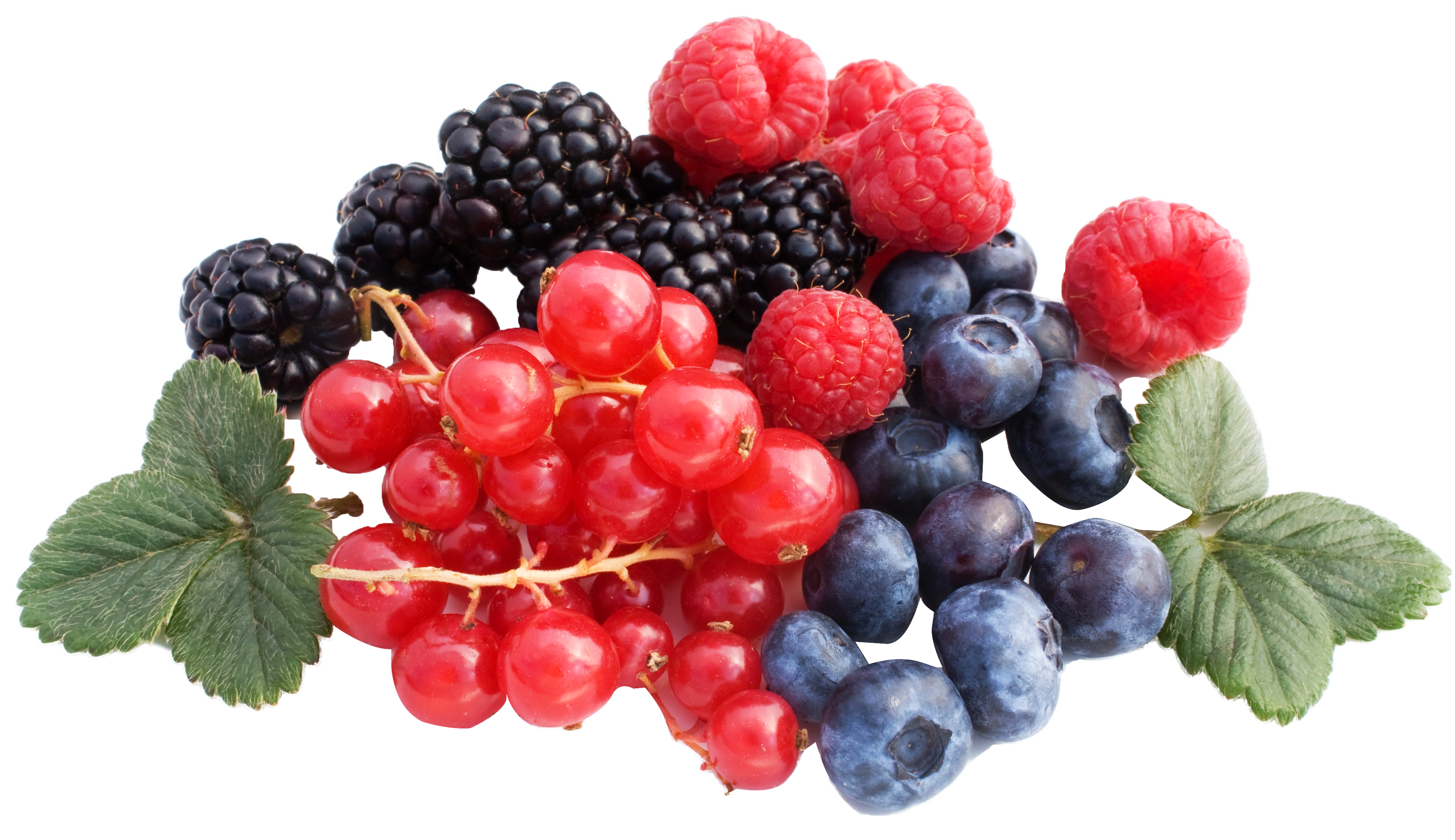 Fresh Organic Berry Mix Transparent PNG Image