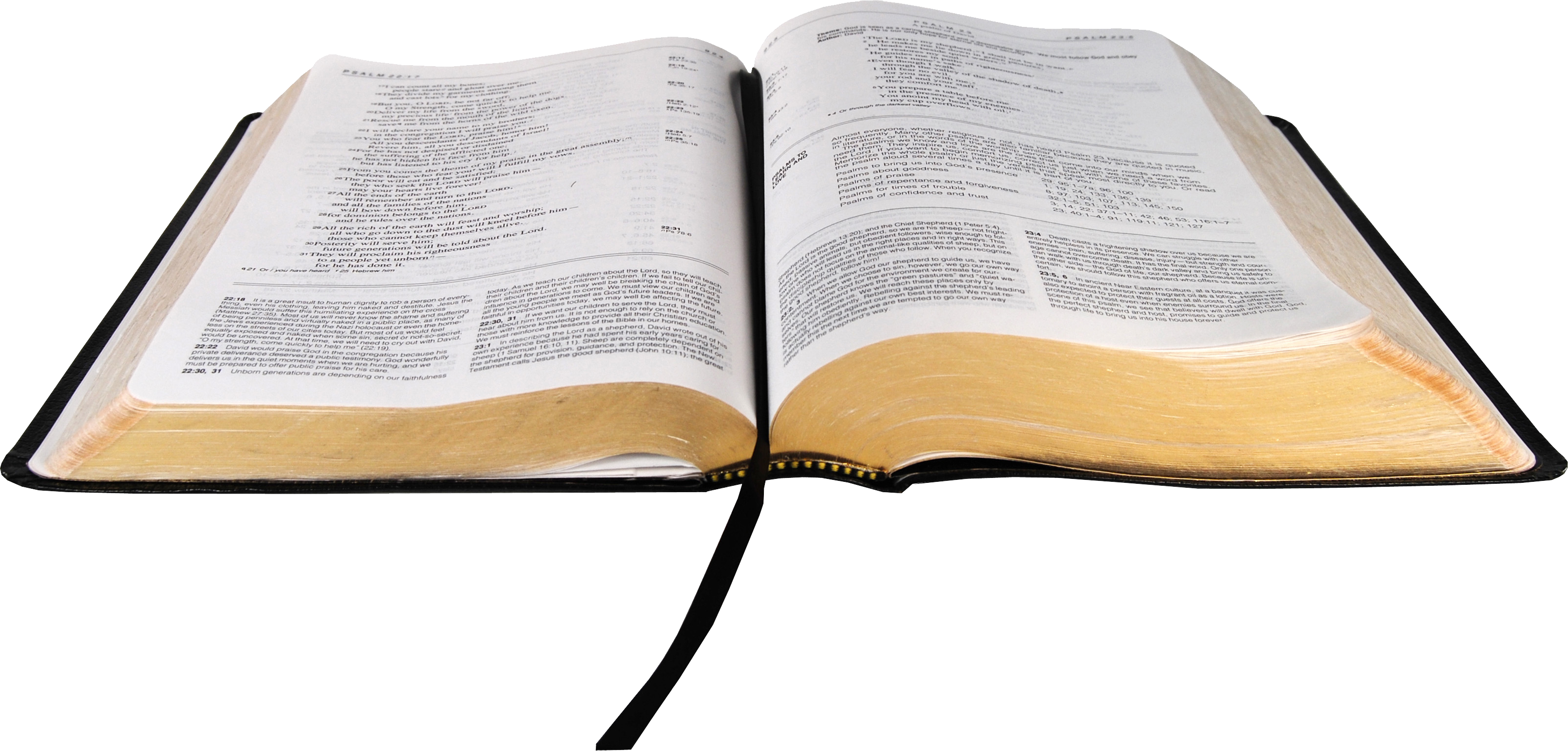 Bible Holy Transparent PNG Image