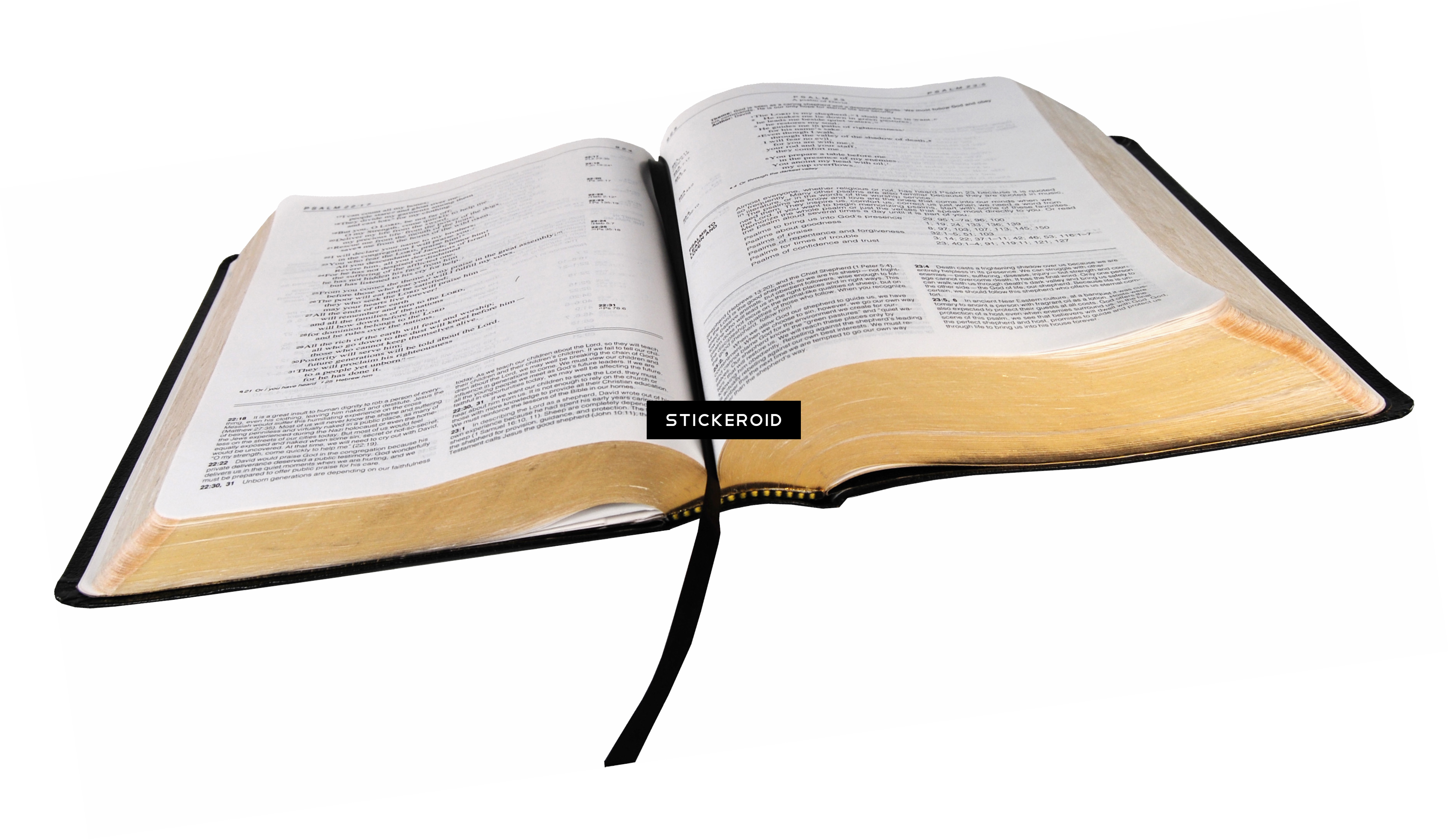Bible Open Holy Transparent PNG Image