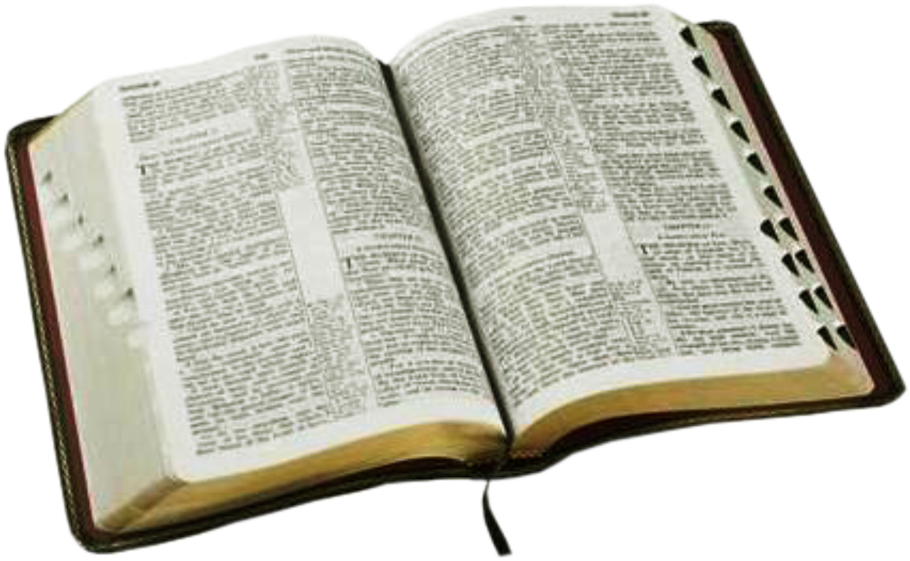 Bible Open Holy Transparent PNG Image
