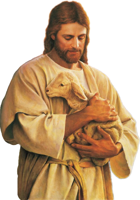 Bible Shepherd Good Christianity Jesus Transparent PNG Image