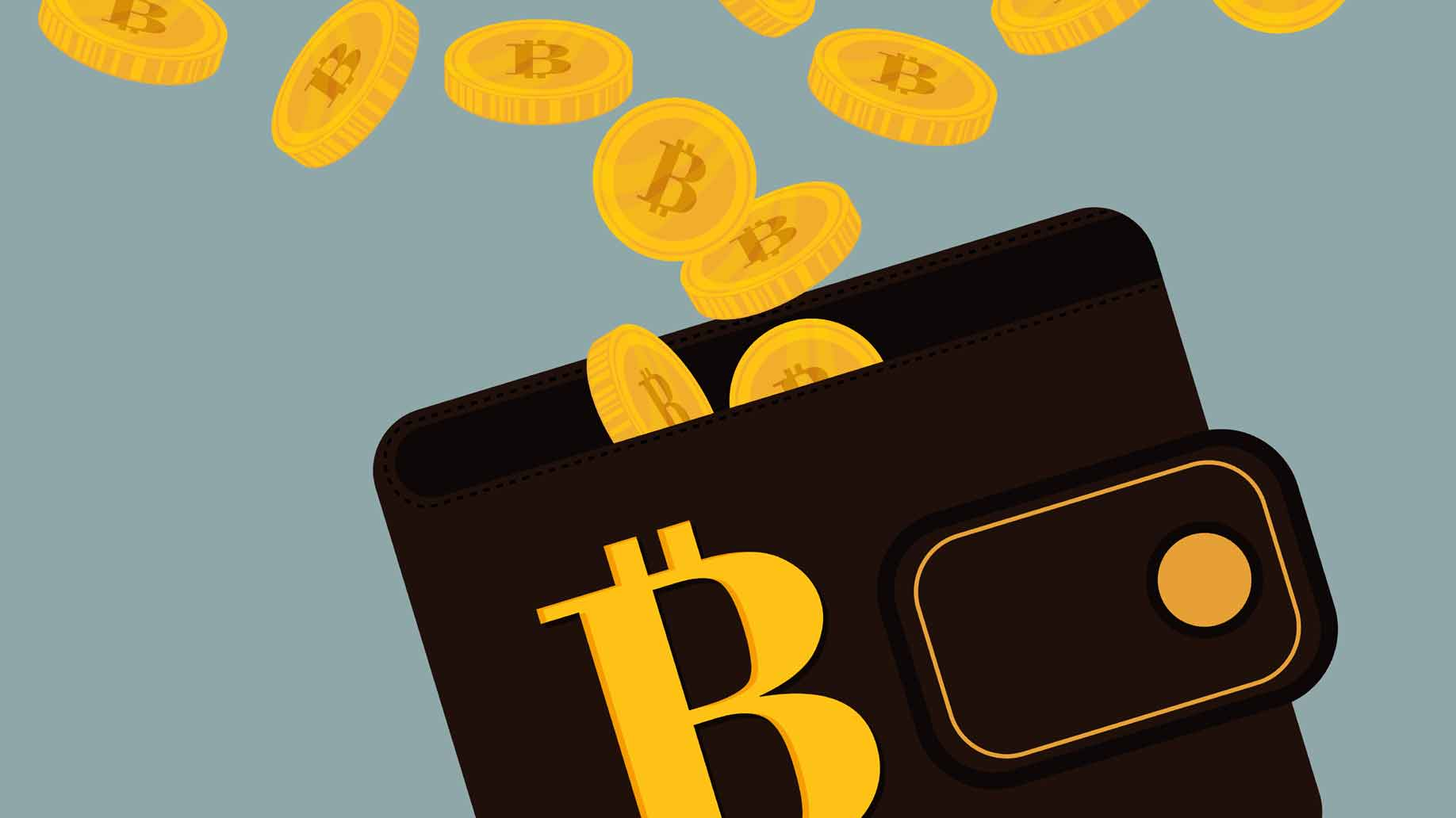 Cryptocurrency Wallet Bitcoin Wallets Altcoins Transparent PNG Image
