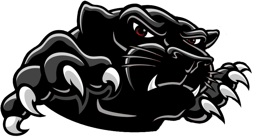 Black Panther Logo Background Transparent PNG Image