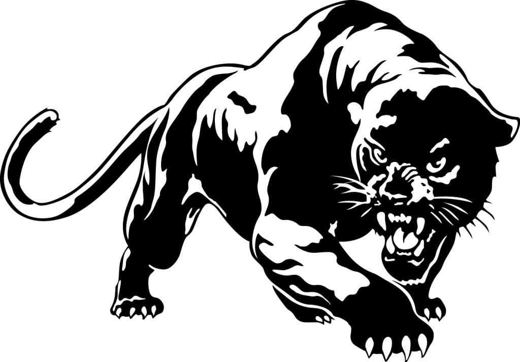 Cougar Black Youtube Panther Transparent PNG Image