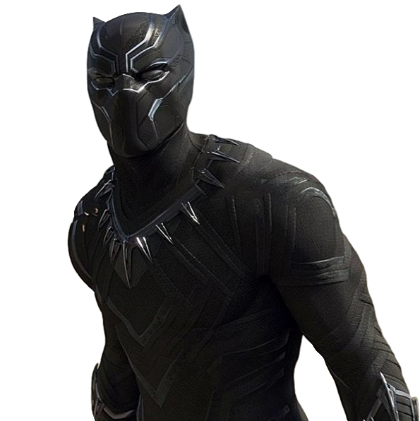 Black Panther File Transparent PNG Image