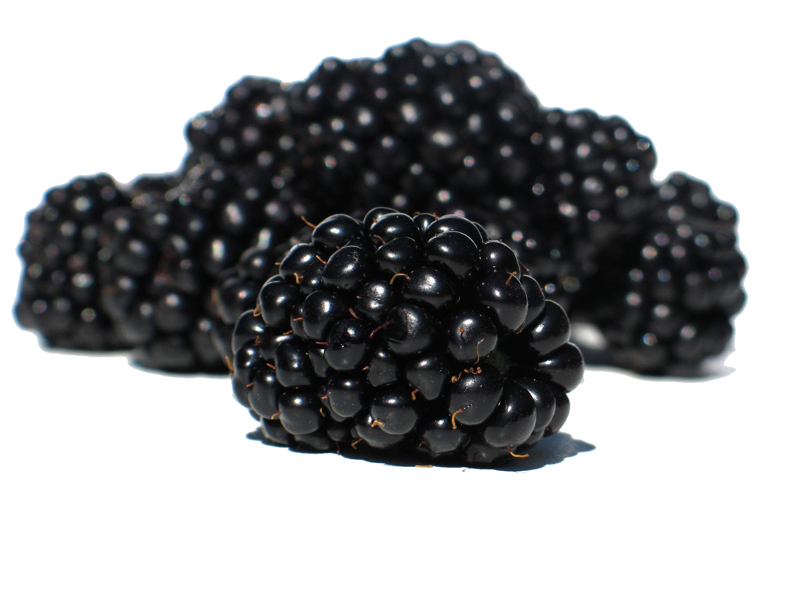 Blackberry Fruit Transparent PNG Image