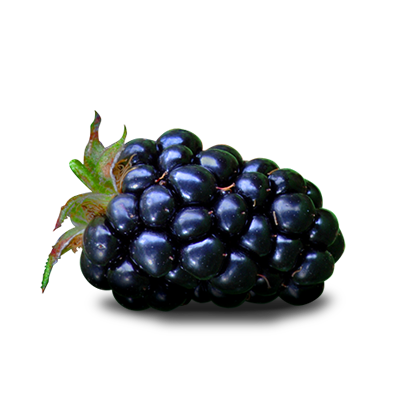 Blackberry Fruit File Transparent PNG Image