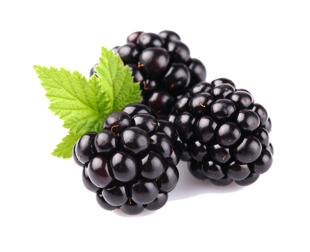 Blackberry Fruit Transparent PNG Image