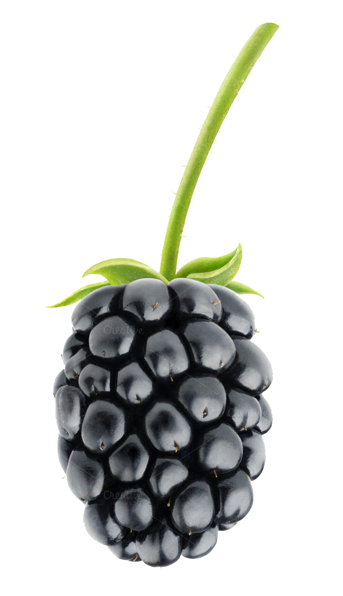 Blackberry Fruit Transparent PNG Image