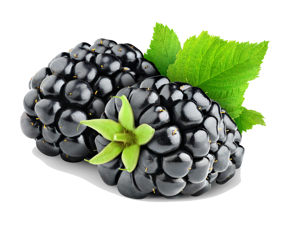 Blackberry Fruit Transparent PNG Image