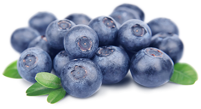 Blueberry Transparent PNG Image