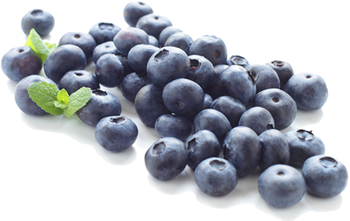 Blueberry Transparent PNG Image