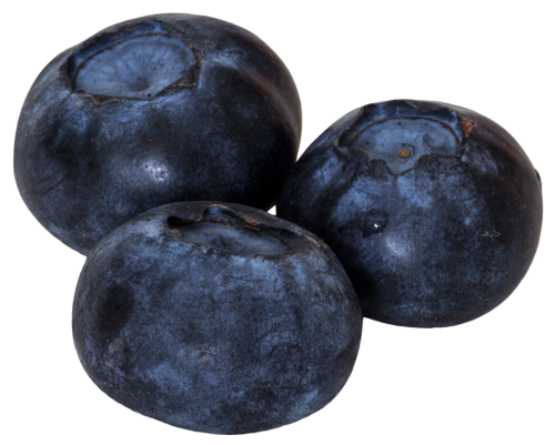 Blueberry Transparent PNG Image