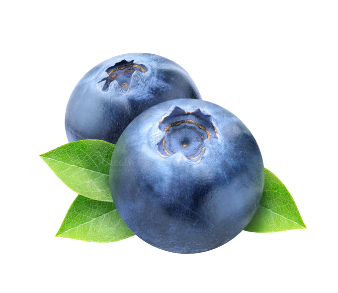 Blueberry Transparent PNG Image