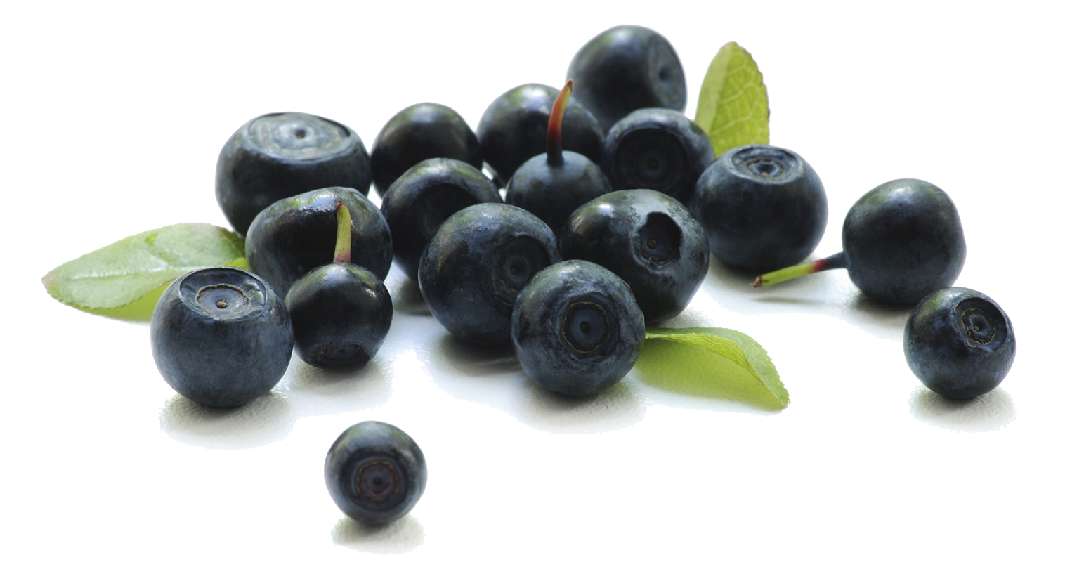 Blueberry Background Transparent PNG Image