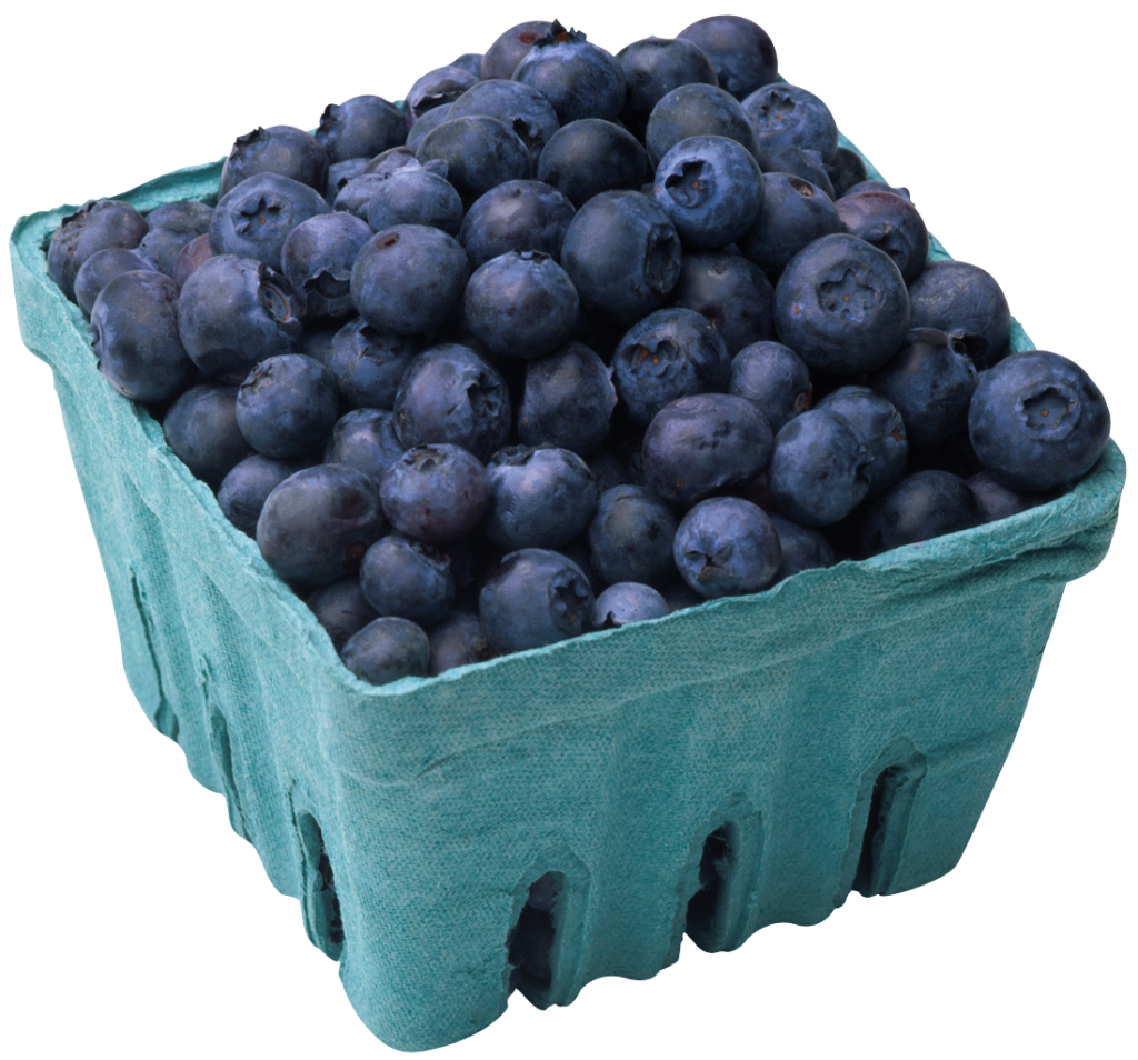 Blueberry Transparent PNG Image