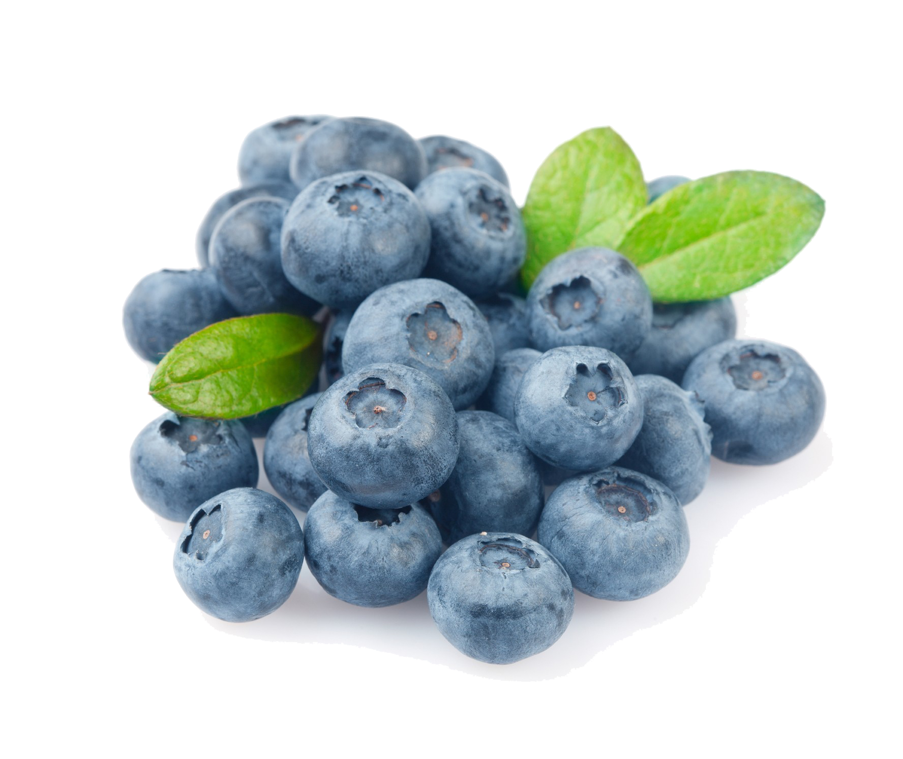 Blueberry Transparent PNG Image