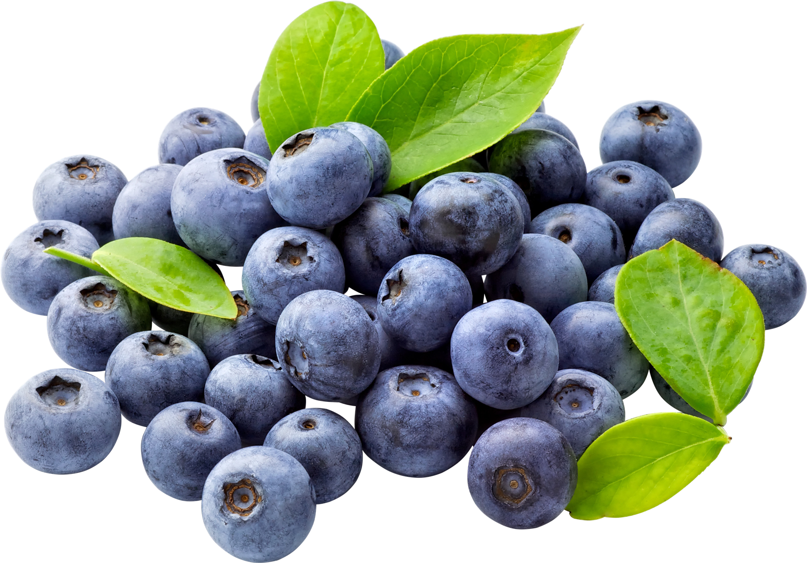 Blueberry Transparent PNG Image
