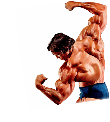 Bodybuilding Background Transparent PNG Image