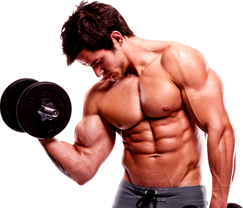 Bodybuilding Transparent PNG Image
