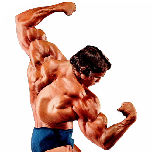 Bodybuilding Transparent PNG Image