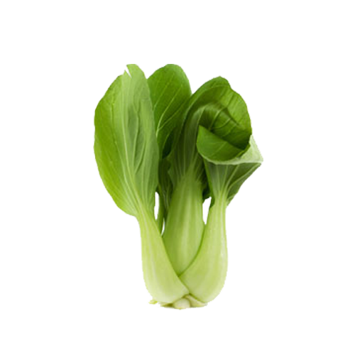 Bok Choy Transparent PNG Image