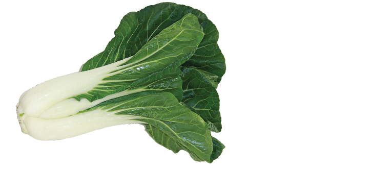 Bok Choy Transparent PNG Image