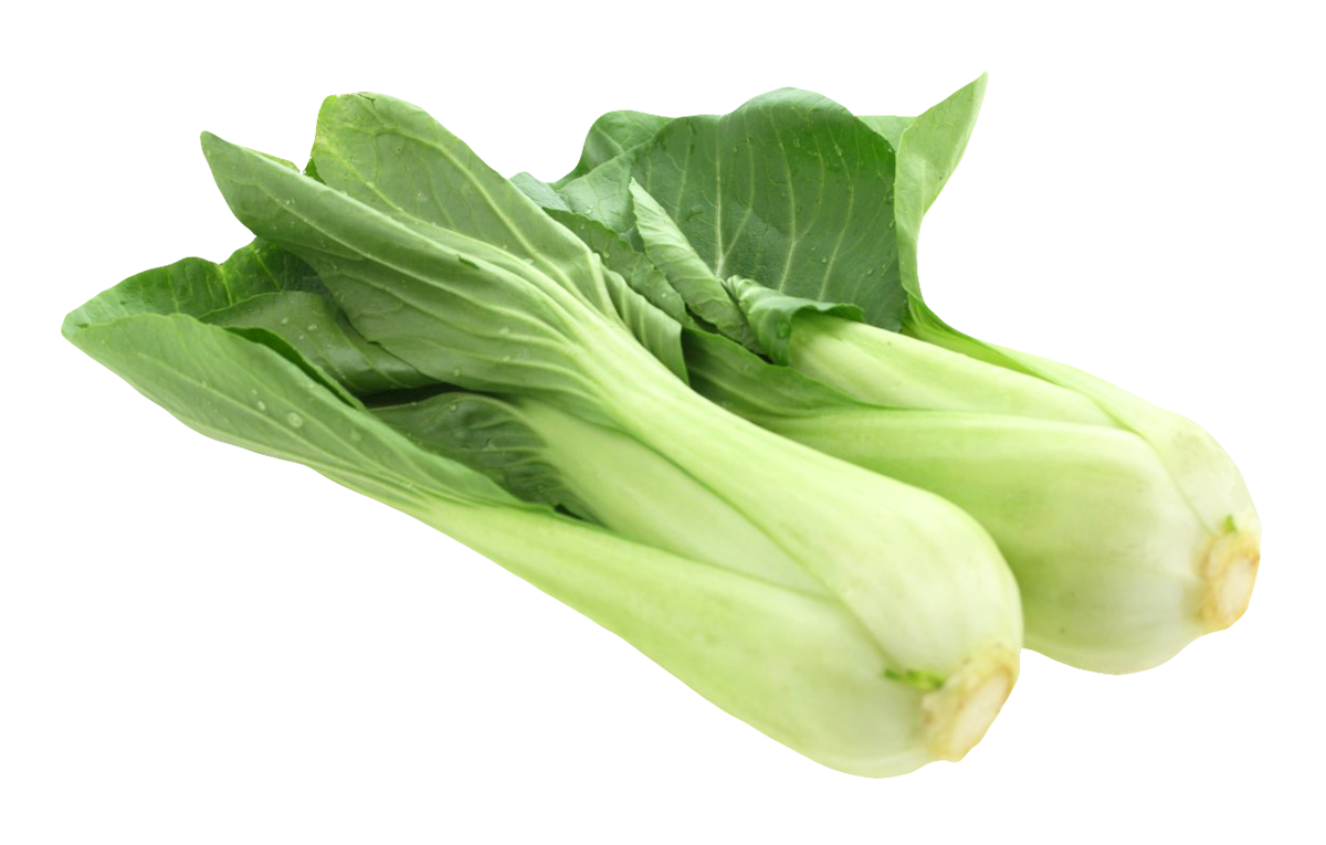 Bok Choy Transparent PNG Image