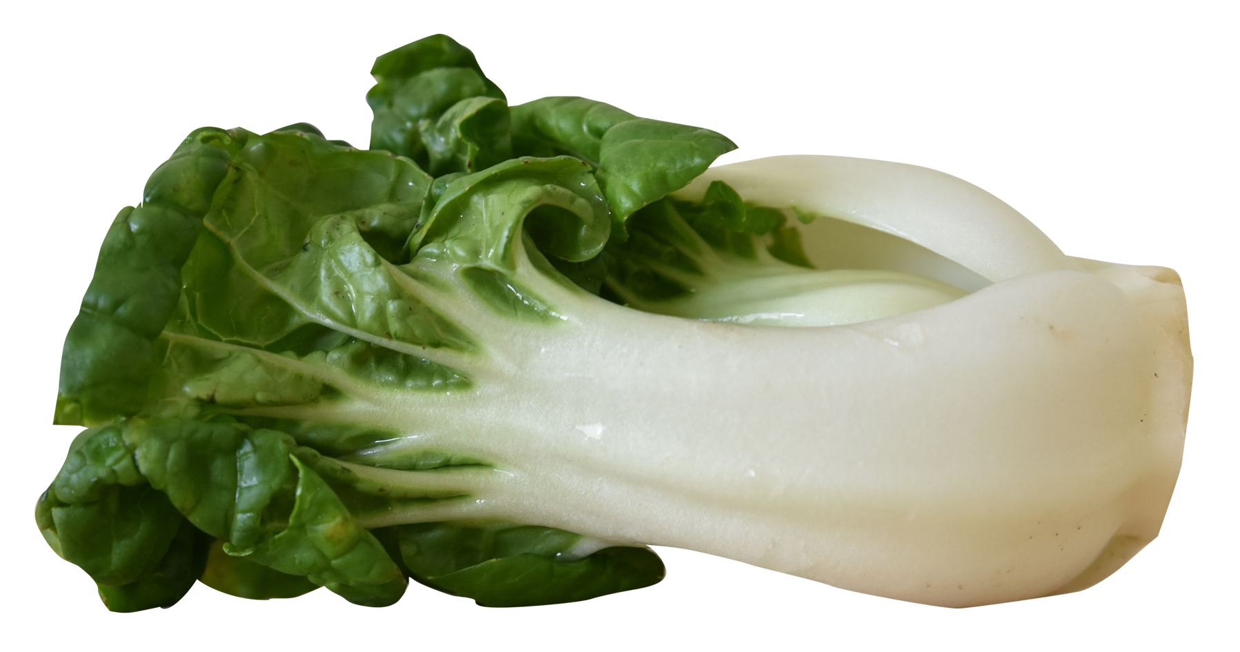 Bok Choy Transparent PNG Image