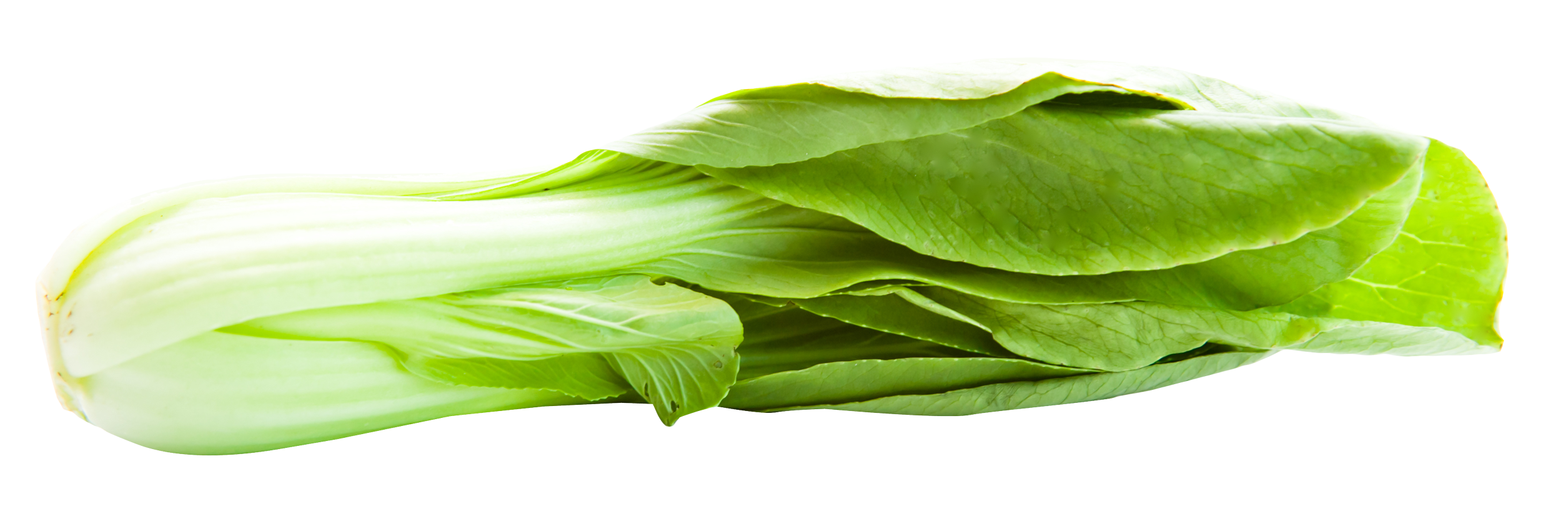 Bok Choy Background Transparent PNG Image