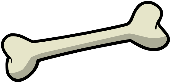 Bone Transparent PNG Image