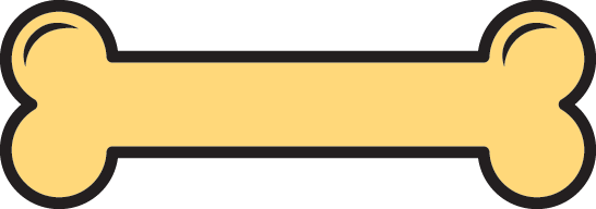 Bone Transparent PNG Image
