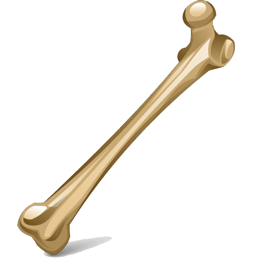 Bone Transparent PNG Image