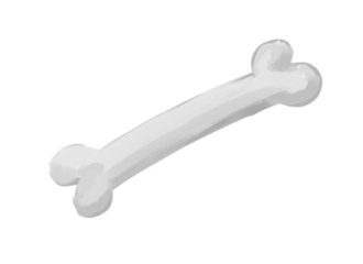 Bone Transparent PNG Image