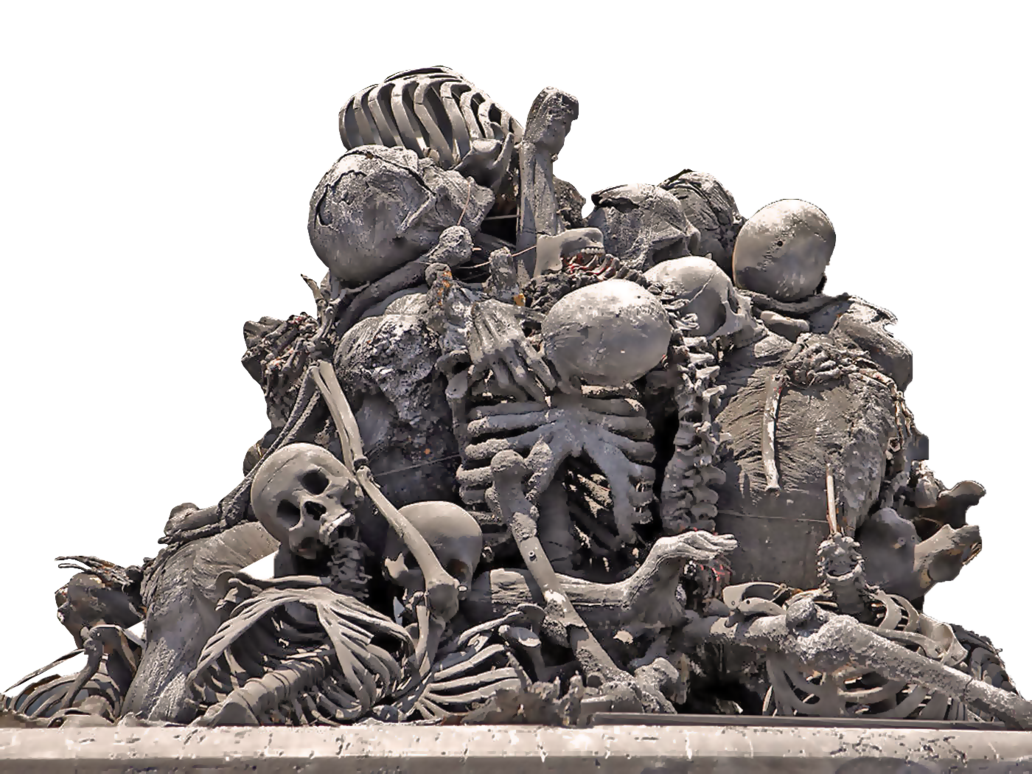 Bones Transparent PNG Image