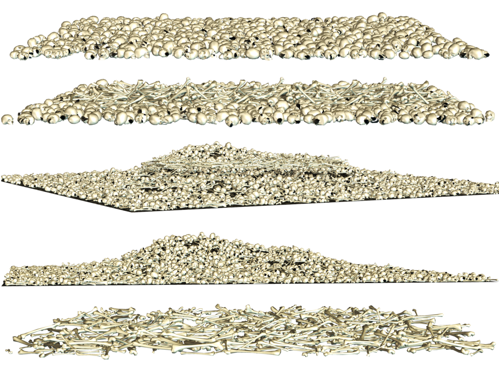 Bones Transparent PNG Image