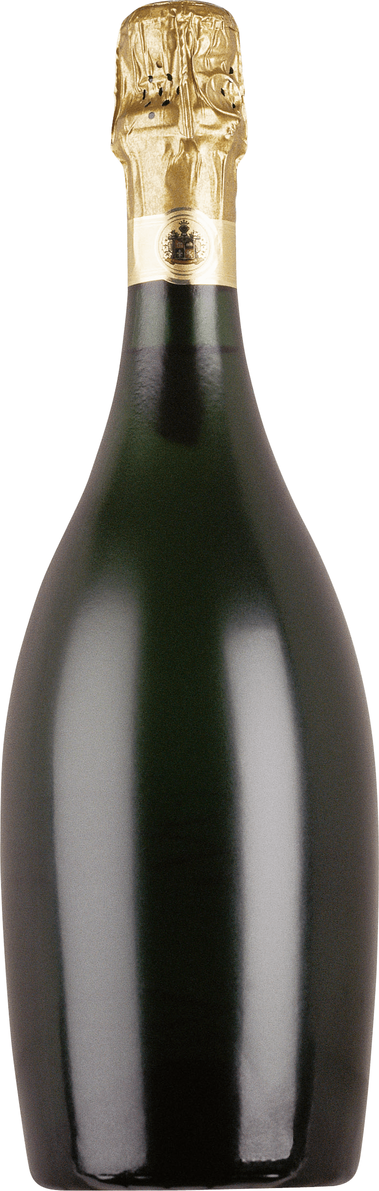 Champagne Bottle Transparent PNG Image