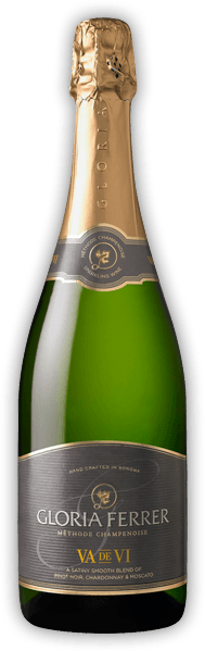 Champaign Bottle Transparent PNG Image