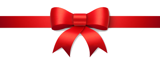 Bow Transparent PNG Image