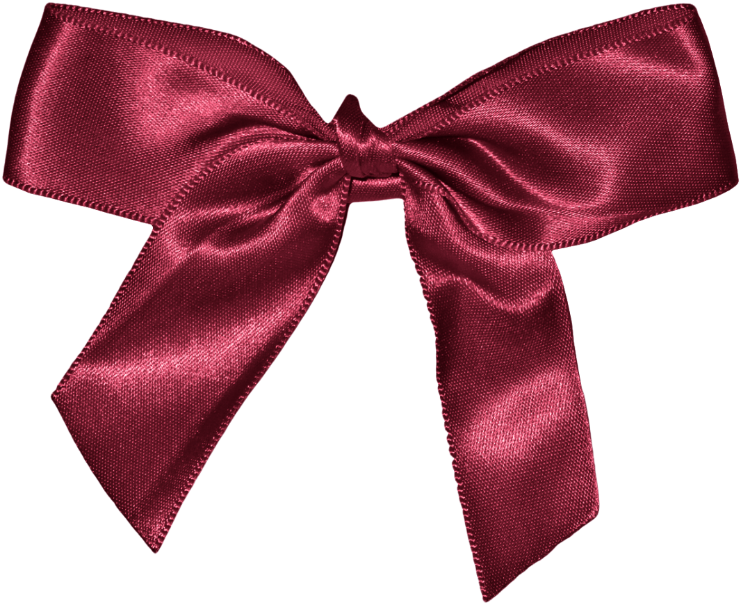 Bow Transparent PNG Image