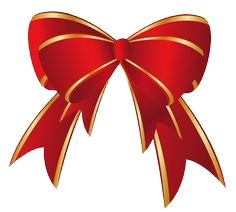 Bow Transparent PNG Image