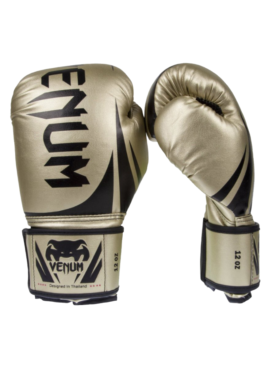 Pic Gloves Boxing Venum File Transparent PNG Image