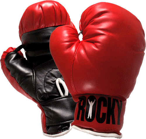 Boxing Gloves Transparent PNG Image