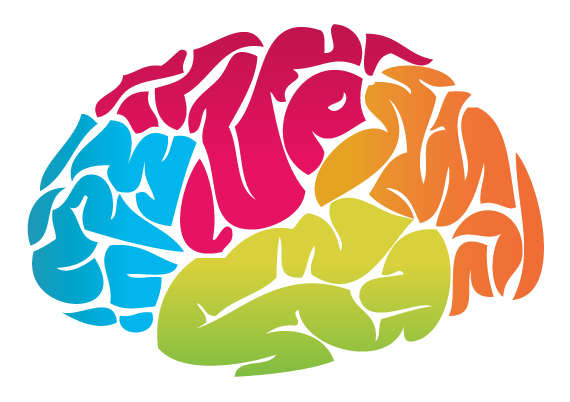 Brain Transparent PNG Image