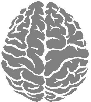 Brain Transparent PNG Image