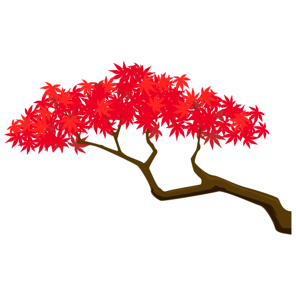 Plants Maple Tree Illustration Branch Transparent PNG Image