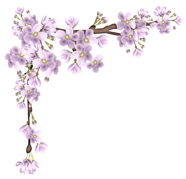 Cherry Floating Material Border File Transparent PNG Image