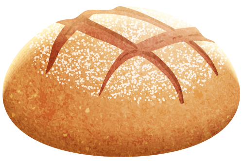 Vector Bun Bread Transparent PNG Image