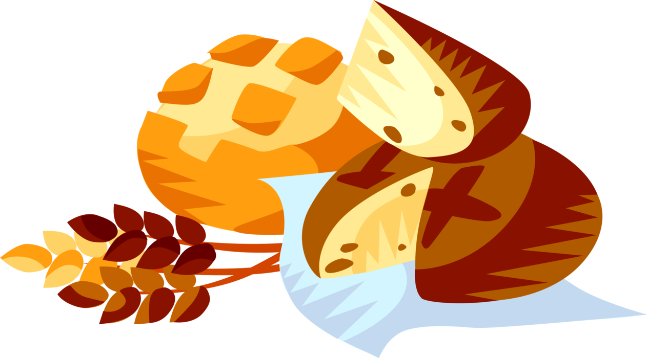 Vector Bun Bread Transparent PNG Image