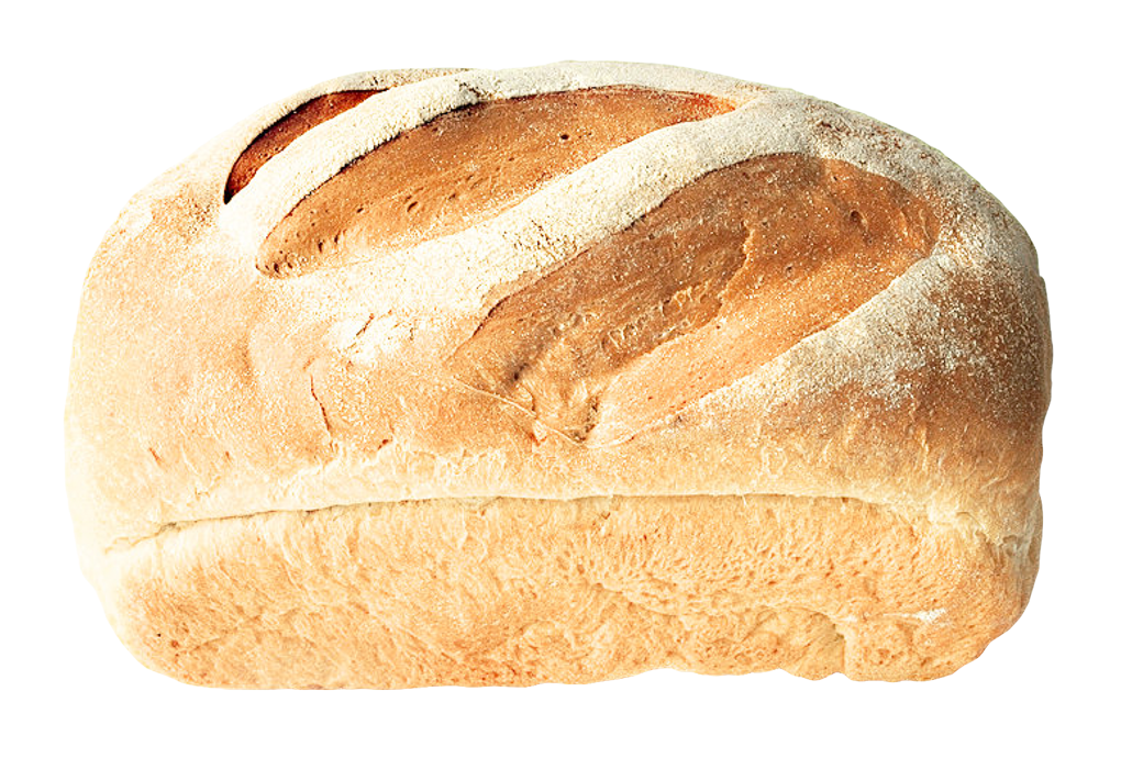 Vector Bun Bread Transparent PNG Image